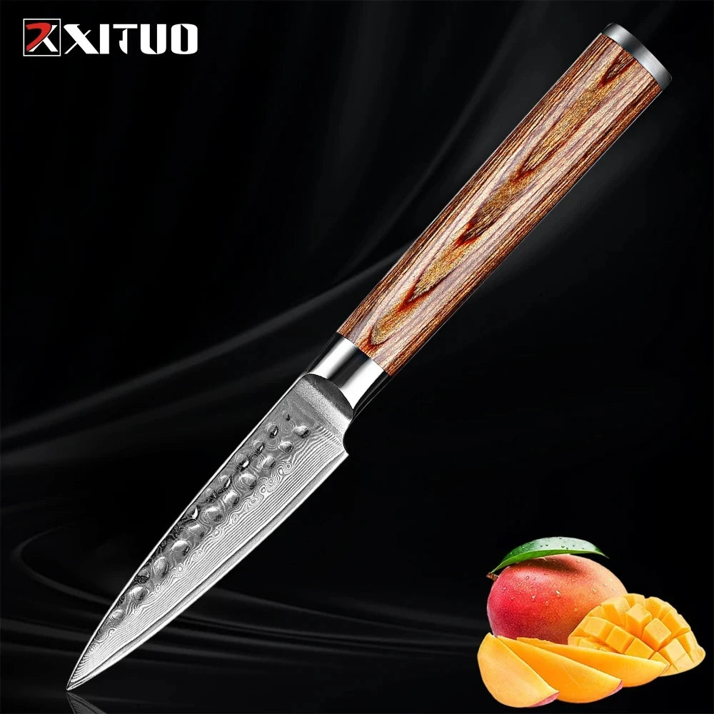 XITUO Damascus Paring Knife VG10 Steel & Wood Handle Damascus Paring Knife Qst