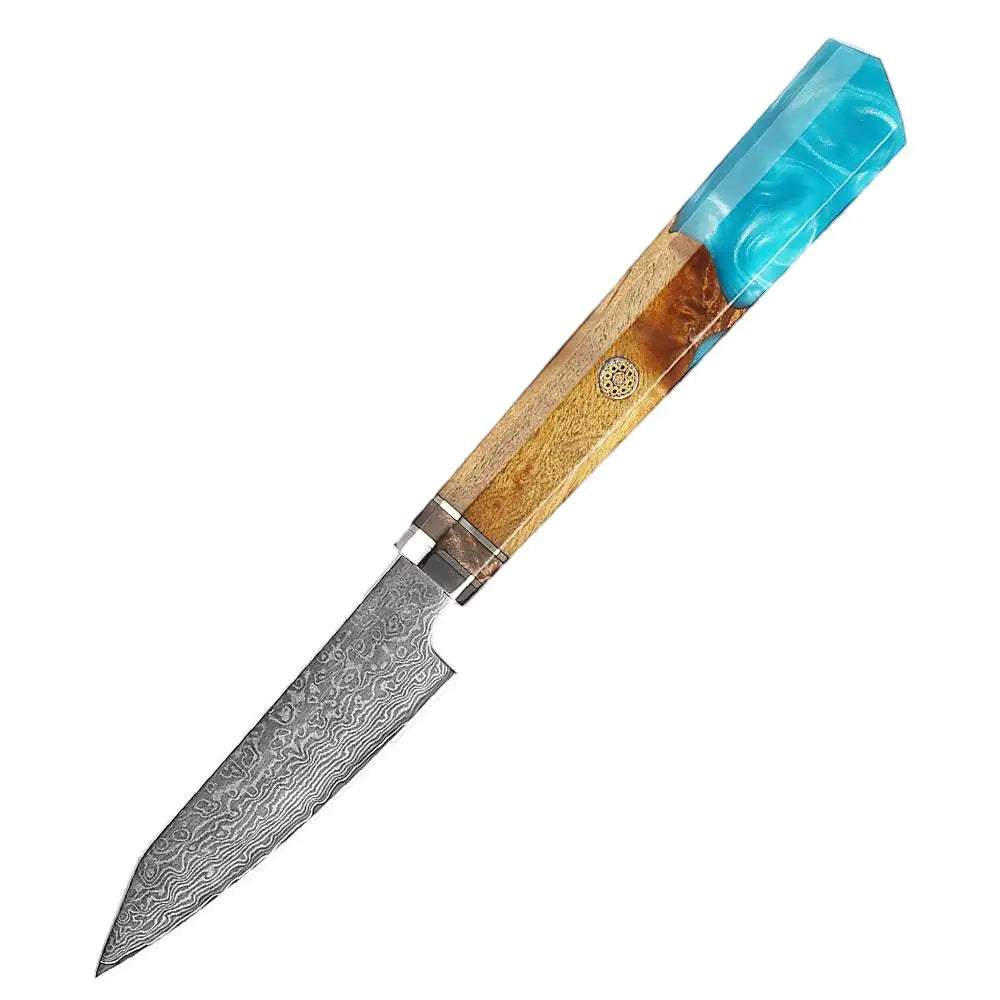 XITUO 4-Inch Damascus Steel Paring Knife – Resin & Wood Handle Damascus Paring Knife Qst