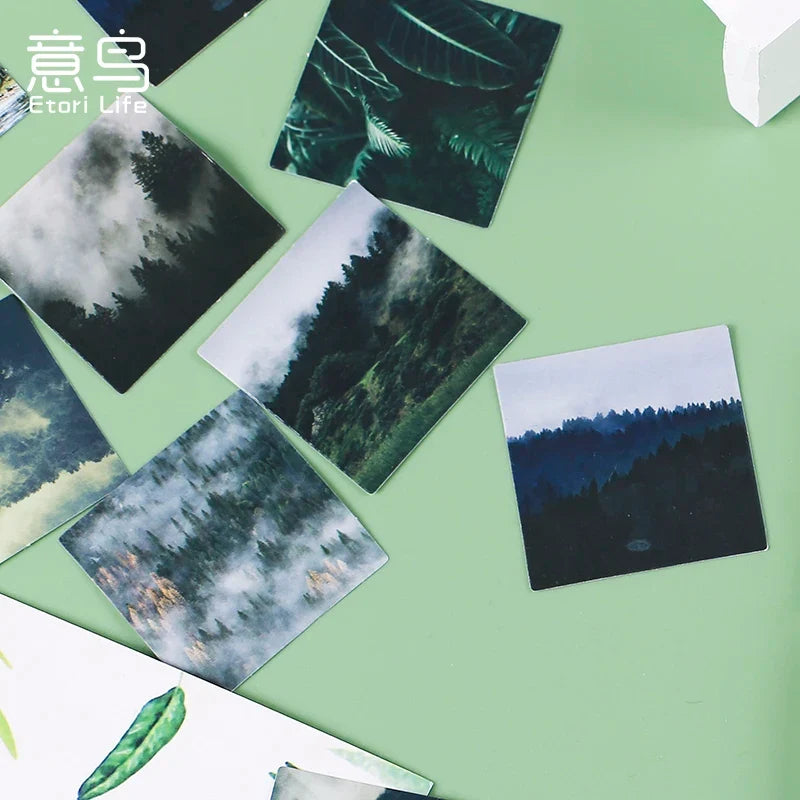 Green Forest Aesthetic Stickers for Diary, Planner & Scrapbook Decorative Sticker Set Qme