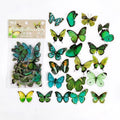 Butterfly Deco Stickers – Scrapbooking & Bullet Journaling Decorative Craft Stickers Qme D