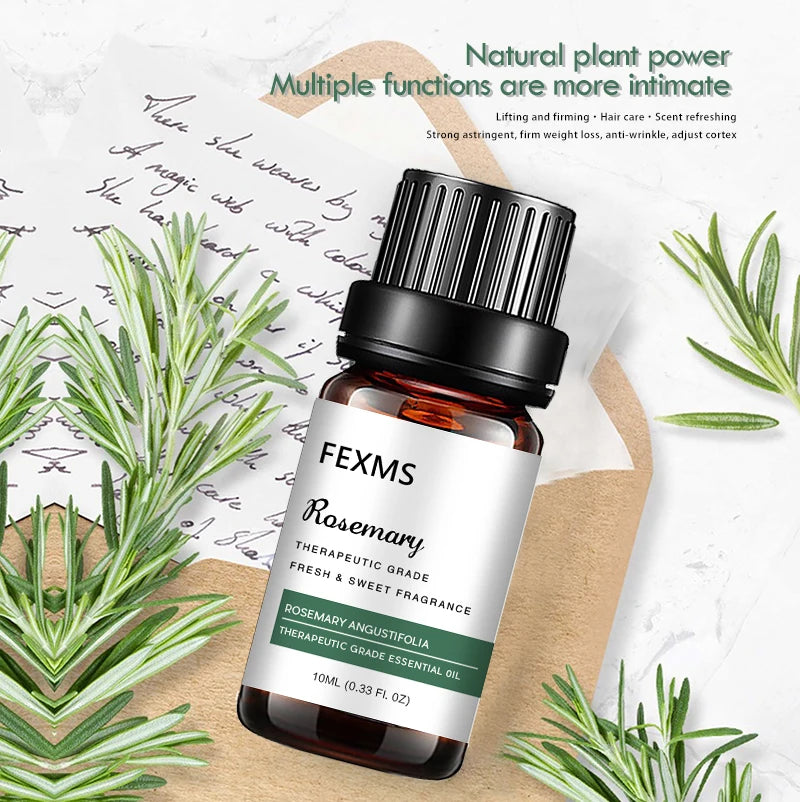 Rosemary Essential Oil – 100% Pure Therapeutic Grade Aromatherapy Essential Oil Qst