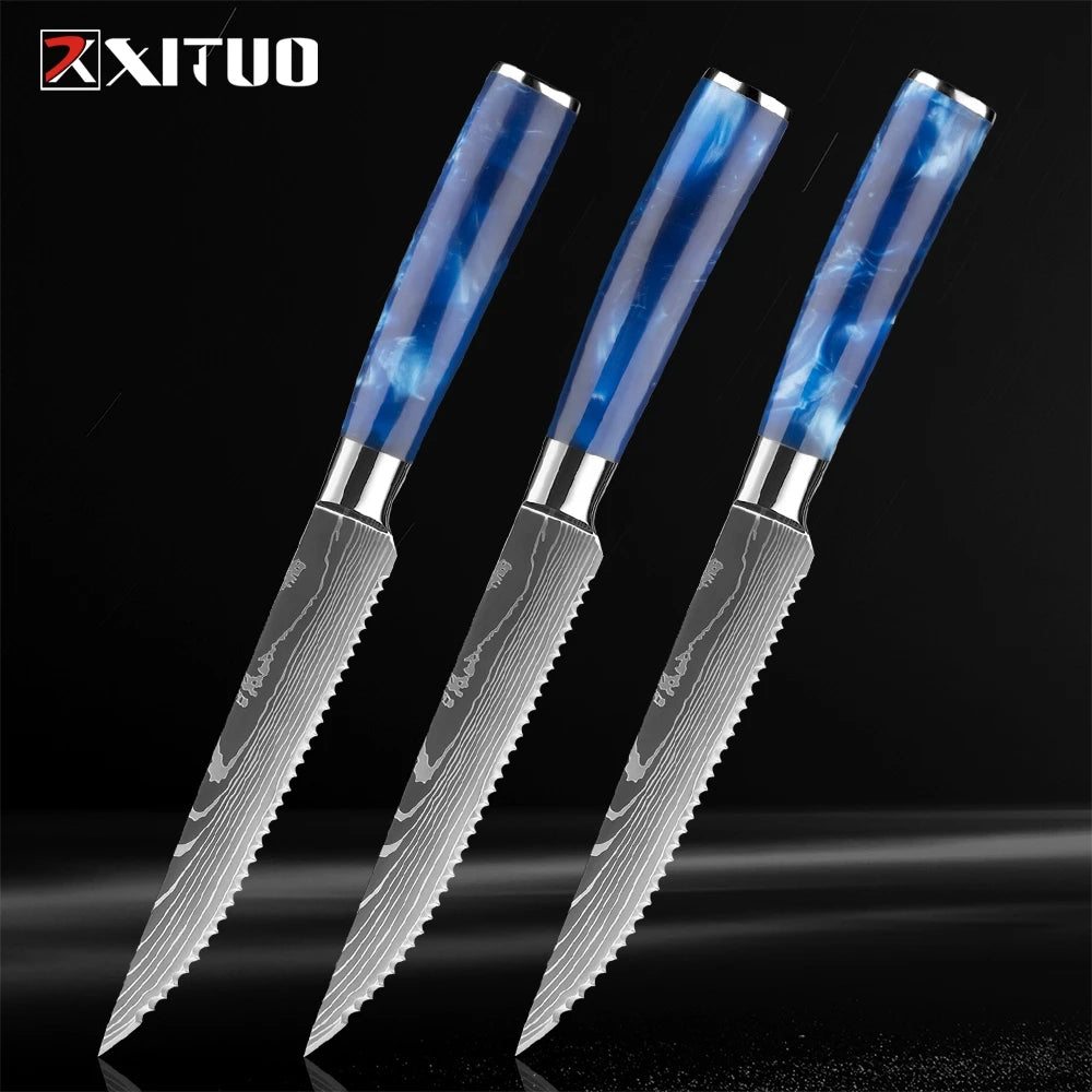 XITUO Damascus Steak Knife Set – Serrated Stainless Steel 6-Pc Steak Knife Set Qst JD-R13LSZ-3PC