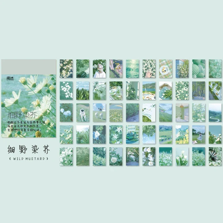 Writable Butterfly Plant Stickers – Bullet Journal & Diary Decorative Sticker Set Qme Q
