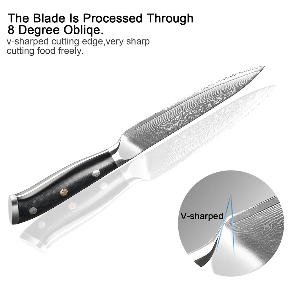 XITUO Damascus Steel Steak Knife Set – 67-Layer G10 Handle Damascus Steak Knife Set Qst