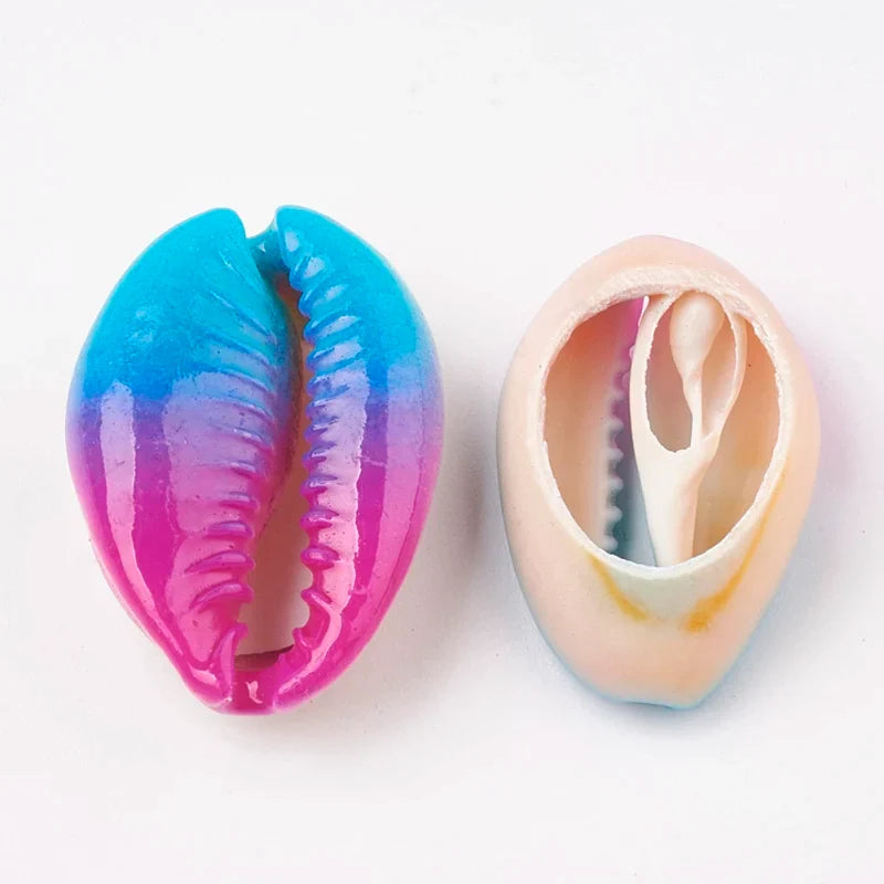 Printed Cowrie Shell Beads Undrilled – DIY Jewelry Making Shell Craft Beads Qme