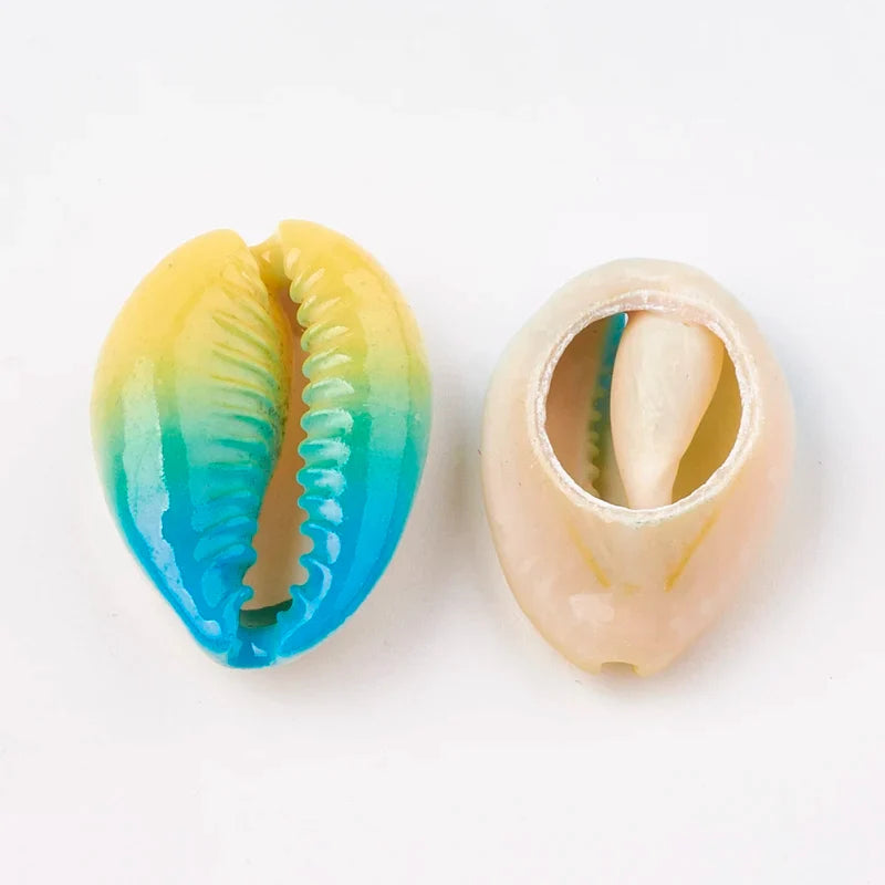 Printed Cowrie Shell Beads Undrilled – DIY Jewelry Making Shell Craft Beads Qme