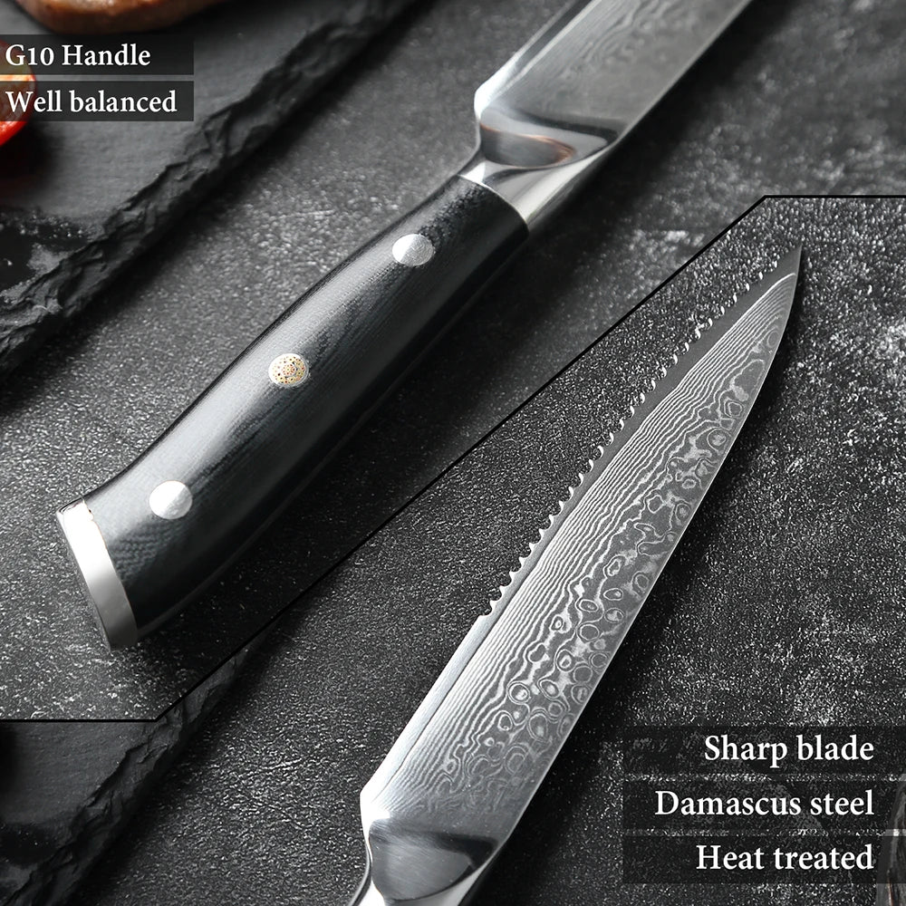 XITUO Damascus Steel Steak Knife Set – 67-Layer G10 Handle Damascus Steak Knife Set Qst