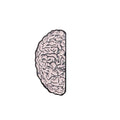 Heart & Brain Anatomy Enamel Lapel Pin – Custom Art Brooch Enamel Lapel Pin Qme Brain