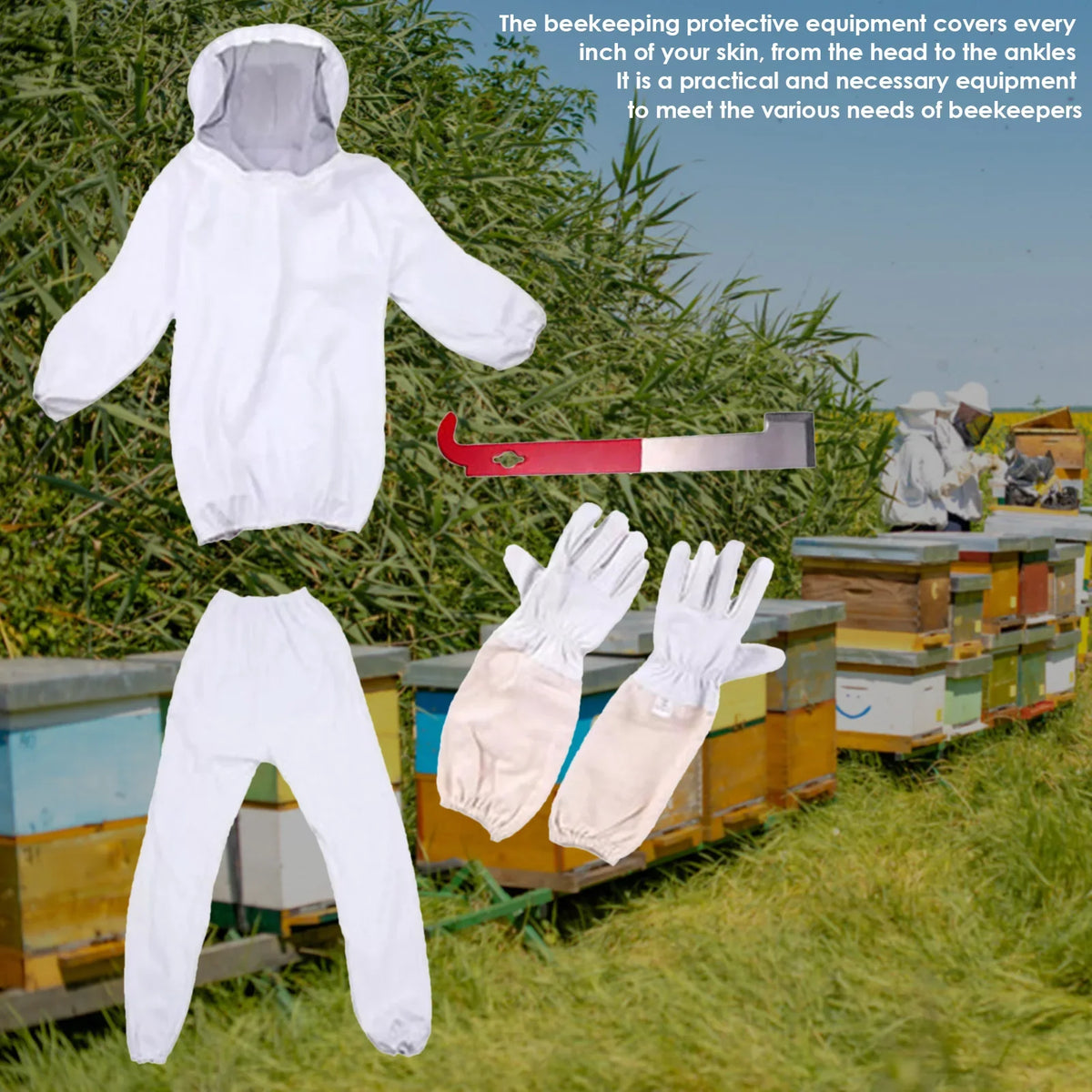 Professional White Split Beekeeping Suit with Gloves & Veil Beekeeping Suit Qme