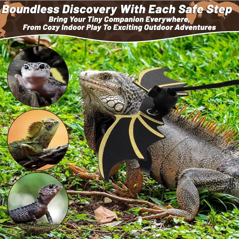 Adjustable Bearded Dragon Harness & Leash – 3 Sizes Reptile Harness Leash Qme
