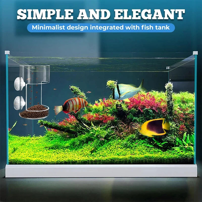 Aquarium Fish Feeder Dish Tray with Suction Cup – Acrylic Aquarium Fish Feeder Qme