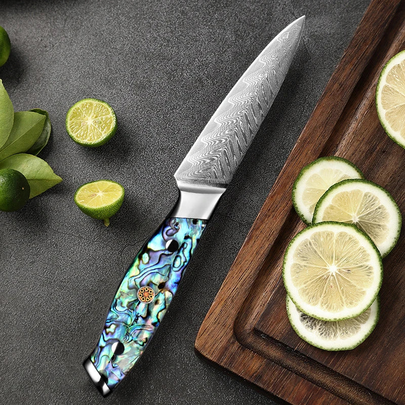 XITUO Damascus Paring Knife 3.5" Japanese VG10 Fruit Knife Damascus Paring Knife Qst