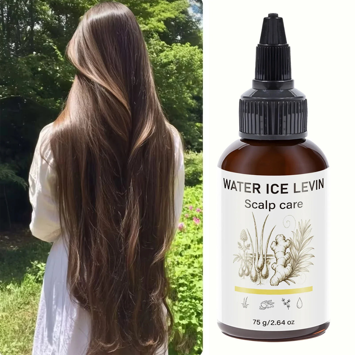 Ginger Infused Scalp Treatment Oil – Daily Hair Care Scalp Treatment Oil Qme