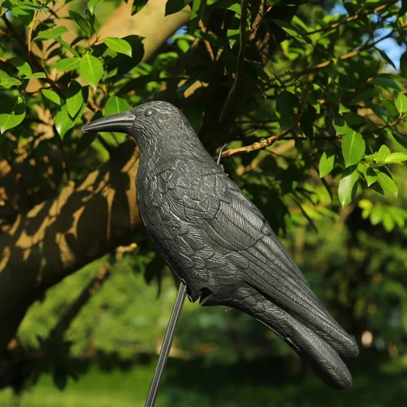 Realistic Black Crow Decoy – Outdoor Bird Deterrent Ornament Bird Deterrent Decoy Qme