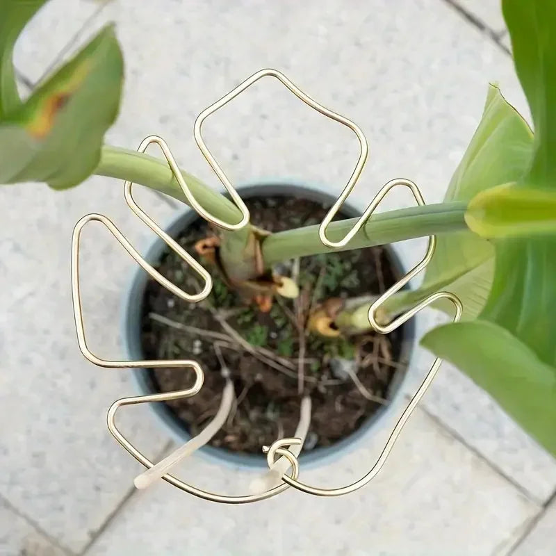 Metal Plant Stem Support Ring for Monstera & Potted Plants Plant Stem Support Ring Qme