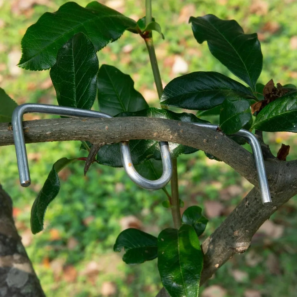 M-Type Fruit Tree Branch Trainers & Angle Benders – 10 Pcs Branch Training Tool Qme