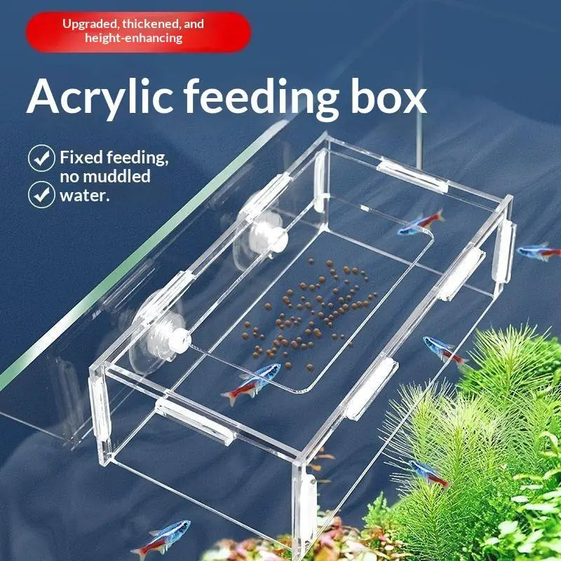 Acrylic Fixed-Point Fish Feeder – Anti-Drift Aquarium Hanging Aquarium Fish Feeder Qme