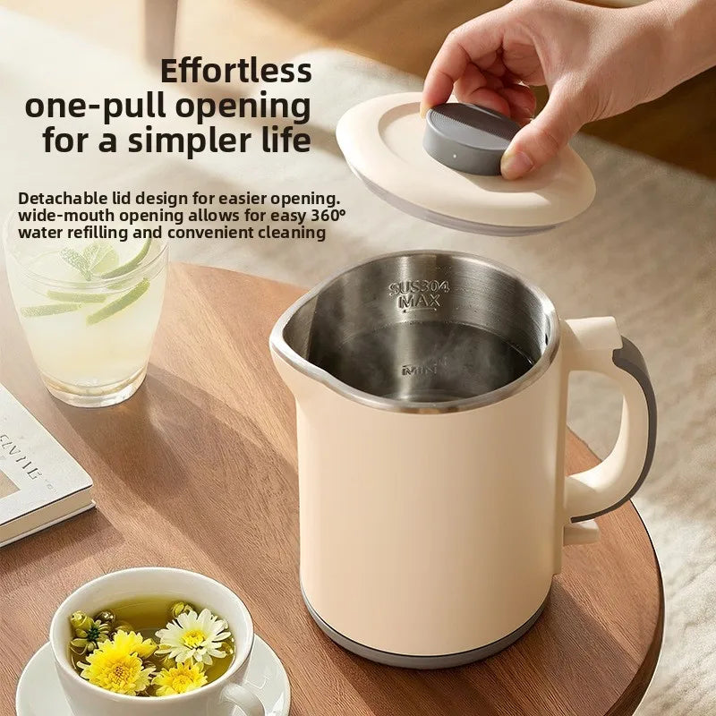 HAOYUNMA 1L 800W Stainless Steel Electric Kettle – Auto-Off Electric Kettle Qst