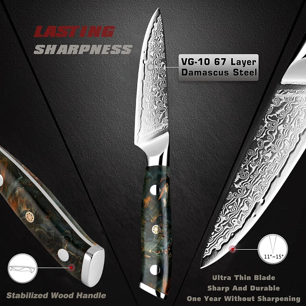 XITUO 3.5" Damascus Paring Knife – 67-Layer VG10 Steel Blade Damascus Paring Knife Qst