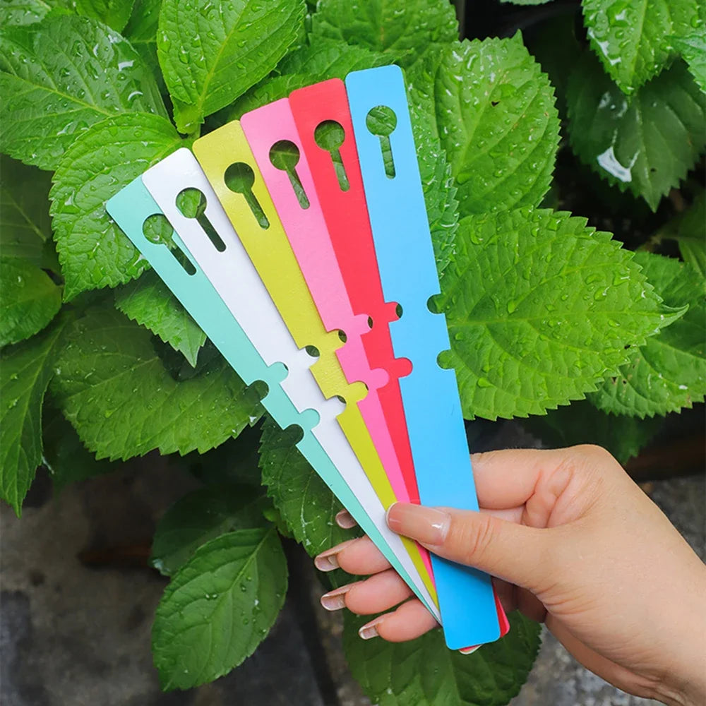 PVC Waterproof Ring Plant Labels – 100pc Orchid & Garden Garden Plant Labels Qme