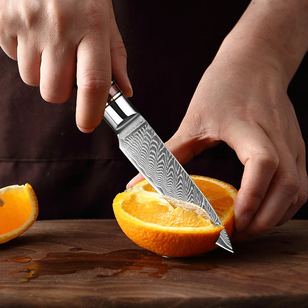 XITUO 3.5" Damascus Steel Paring Knife – Full Tang Wood Handle Damascus Paring Knife Qst