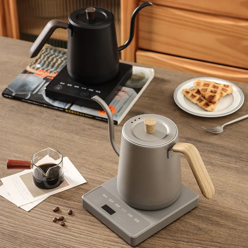 Electric Gooseneck Kettle with Temperature Control – Stainless Electric Gooseneck Kettle Qst