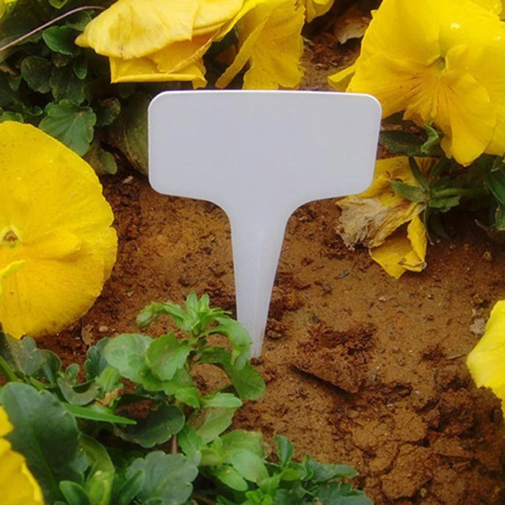 White Waterproof PVC Garden Plant Labels – 100pcs Sign Tags Garden Plant Labels Qme
