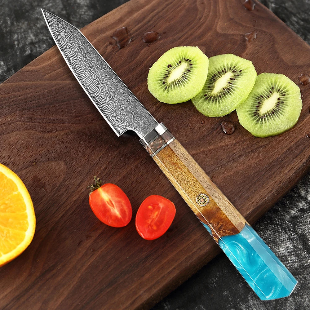 XITUO 4-Inch Damascus Steel Paring Knife – Resin & Wood Handle Damascus Paring Knife Qst