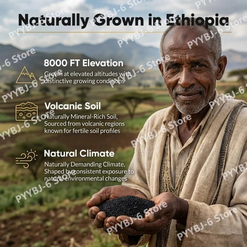 Ethiopian Black Seed Oil Organic Cold-Pressed 60 Softgels Black Seed Oil Supplement Qst