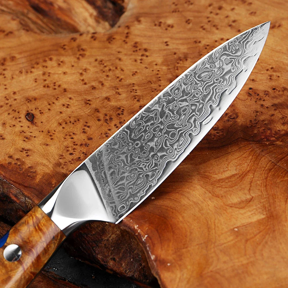 XITUO 3.5" Damascus Steel Paring Knife – Wood Resin Handle Damascus Paring Knife Qst