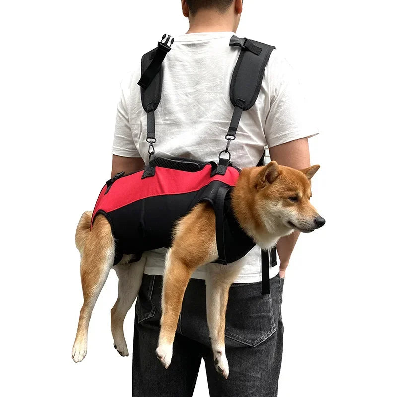 Outdoor Breathable Pet Backpack Carrier for Cats & Dogs Pet Carrier Backpack Qst