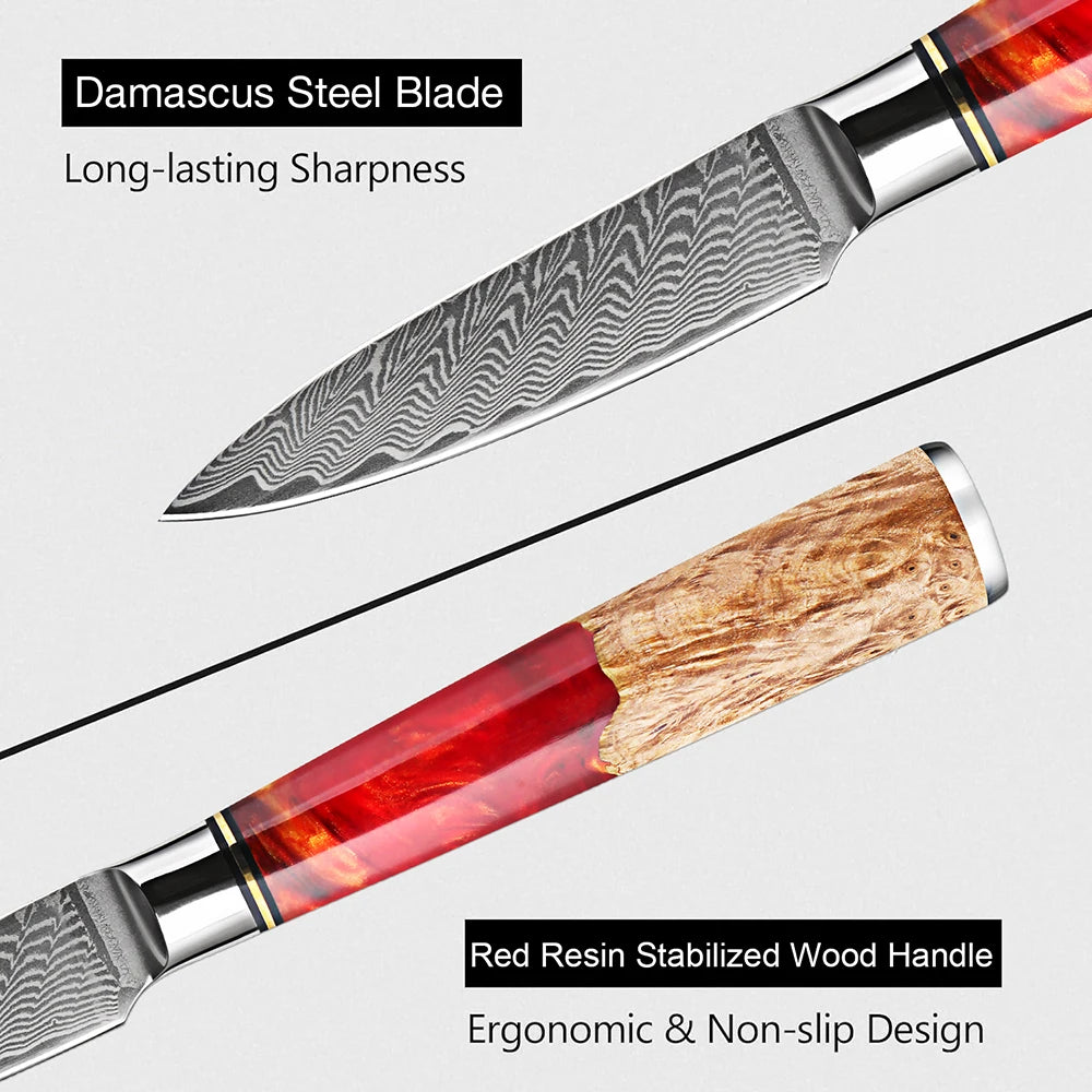 XITUO 3.5" Damascus VG10 Paring Knife – 67-Layer Red Resin Handle Damascus Paring Knife Qst
