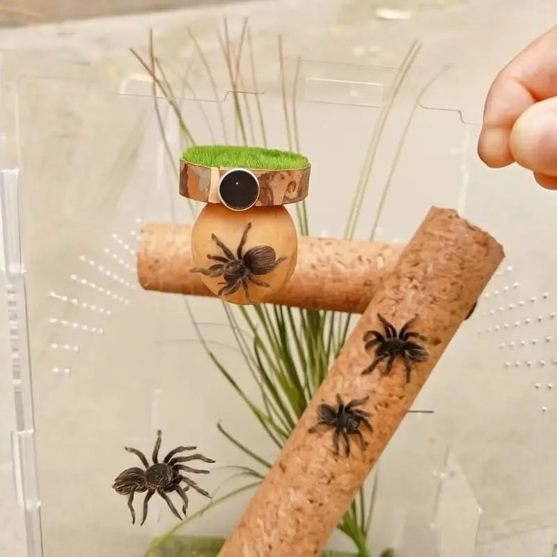 Handmade Mini Jumping Spider Hide Cave – Wood & Walnut Enclosure Spider Enclosure Hide Qme