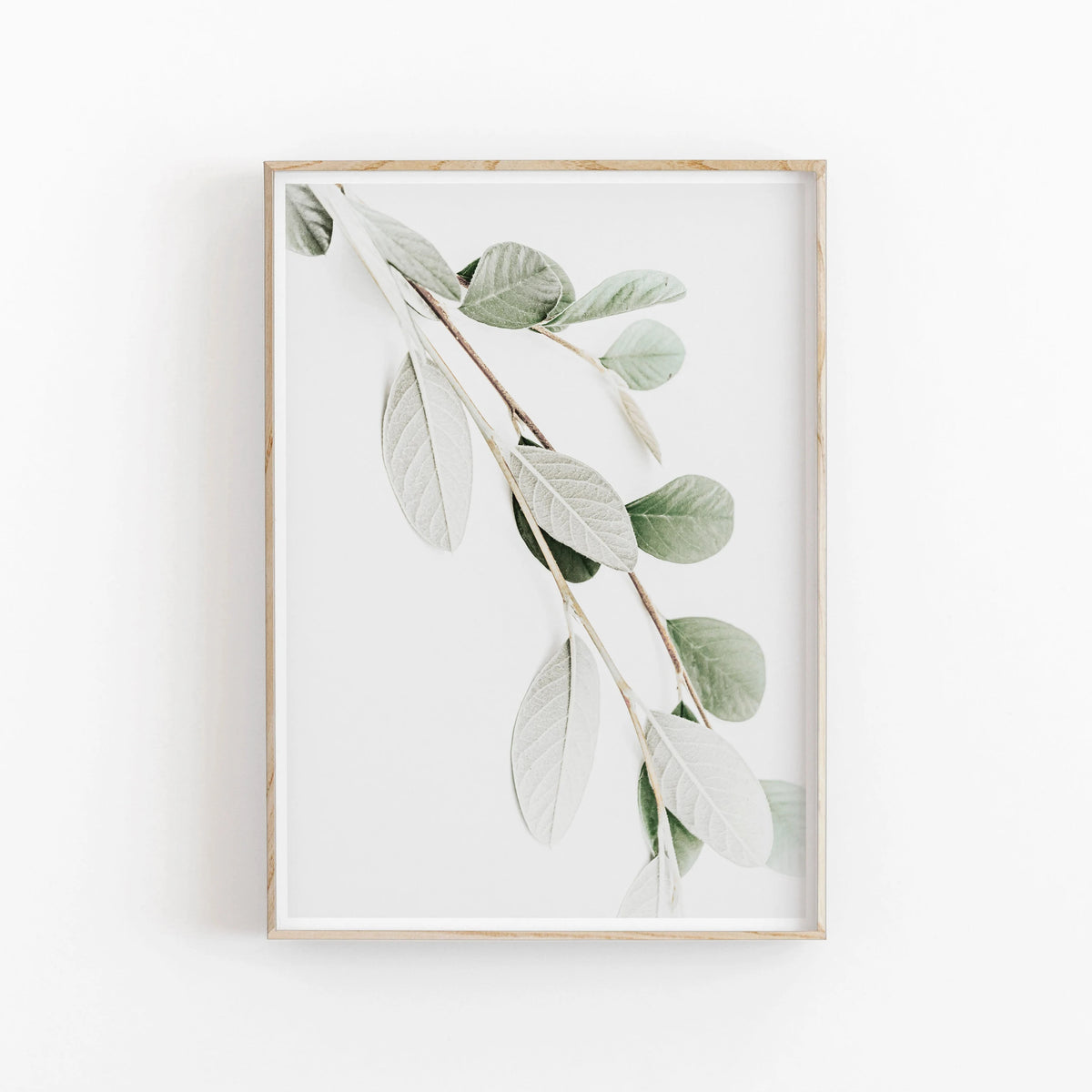Nordic Botanical Canvas Poster – Eucalyptus Palm Leaf Wall Art Canvas Wall Art Qst 03 30x40cm Unframed