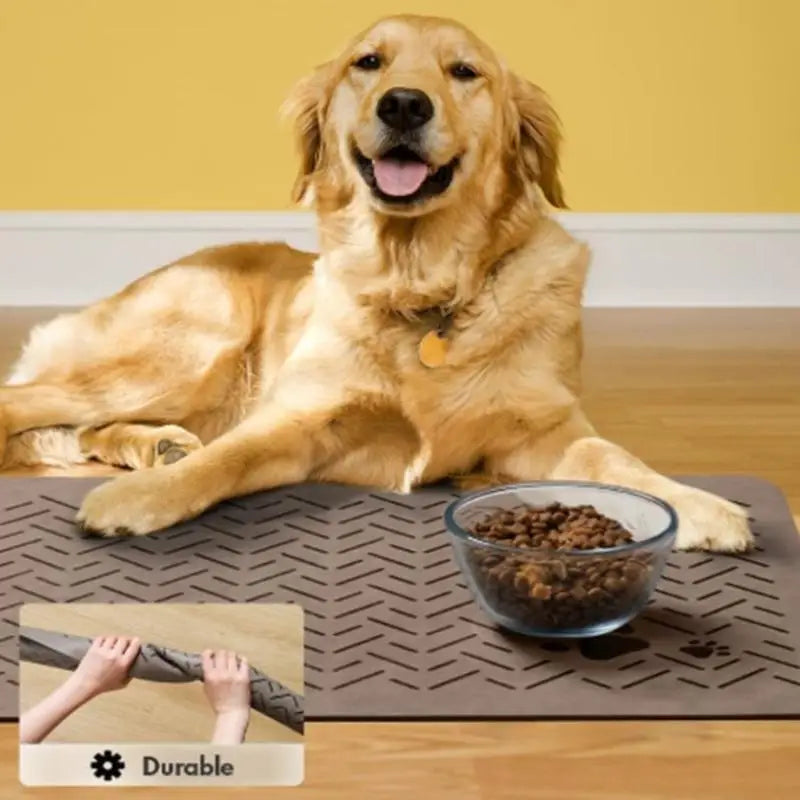 Quick-Dry Waterproof Pet Feeding Mat for Dogs & Cats 60x40cm Pet Feeding Mat Qme