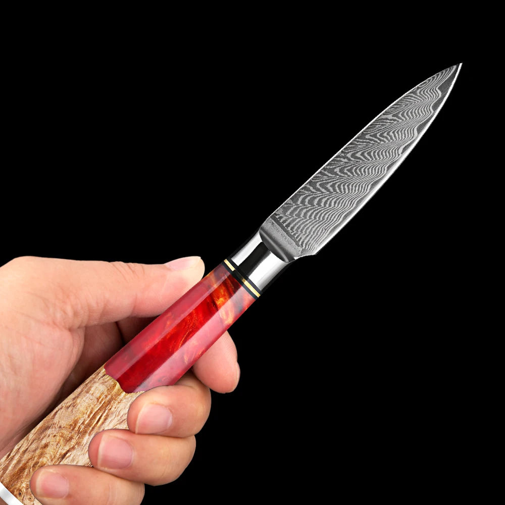 XITUO 3.5" Damascus VG10 Paring Knife – 67-Layer Red Resin Handle Damascus Paring Knife Qst