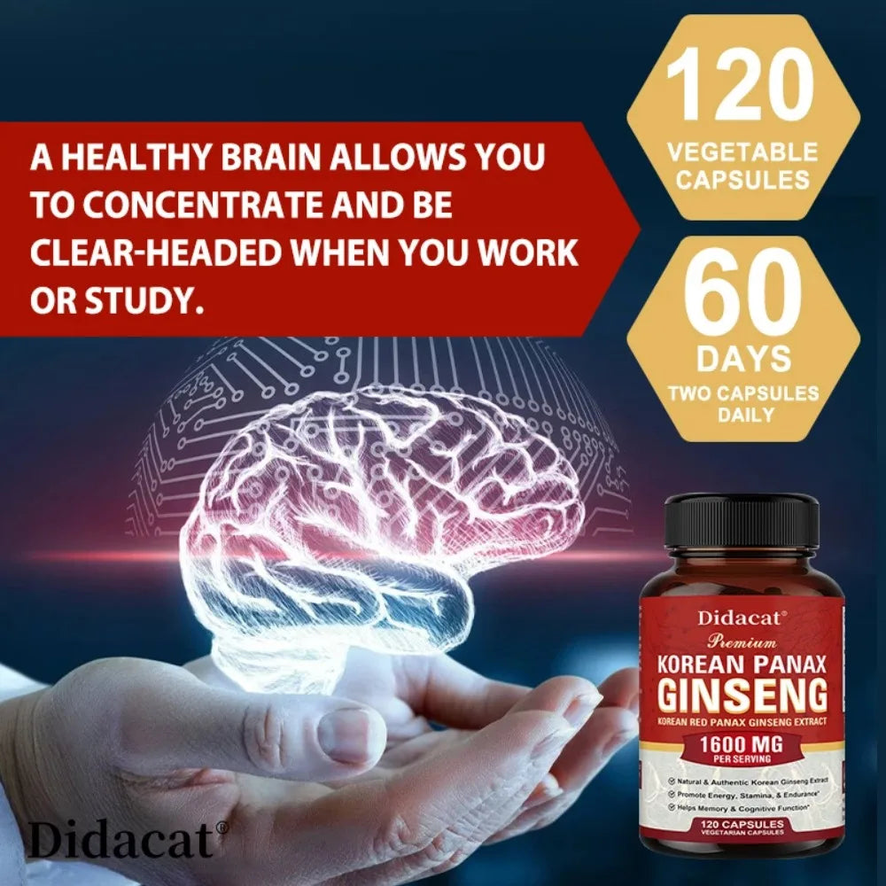 Korean Red Panax Ginseng Capsules – Energy & Focus Support Herbal Supplement Capsules Qst