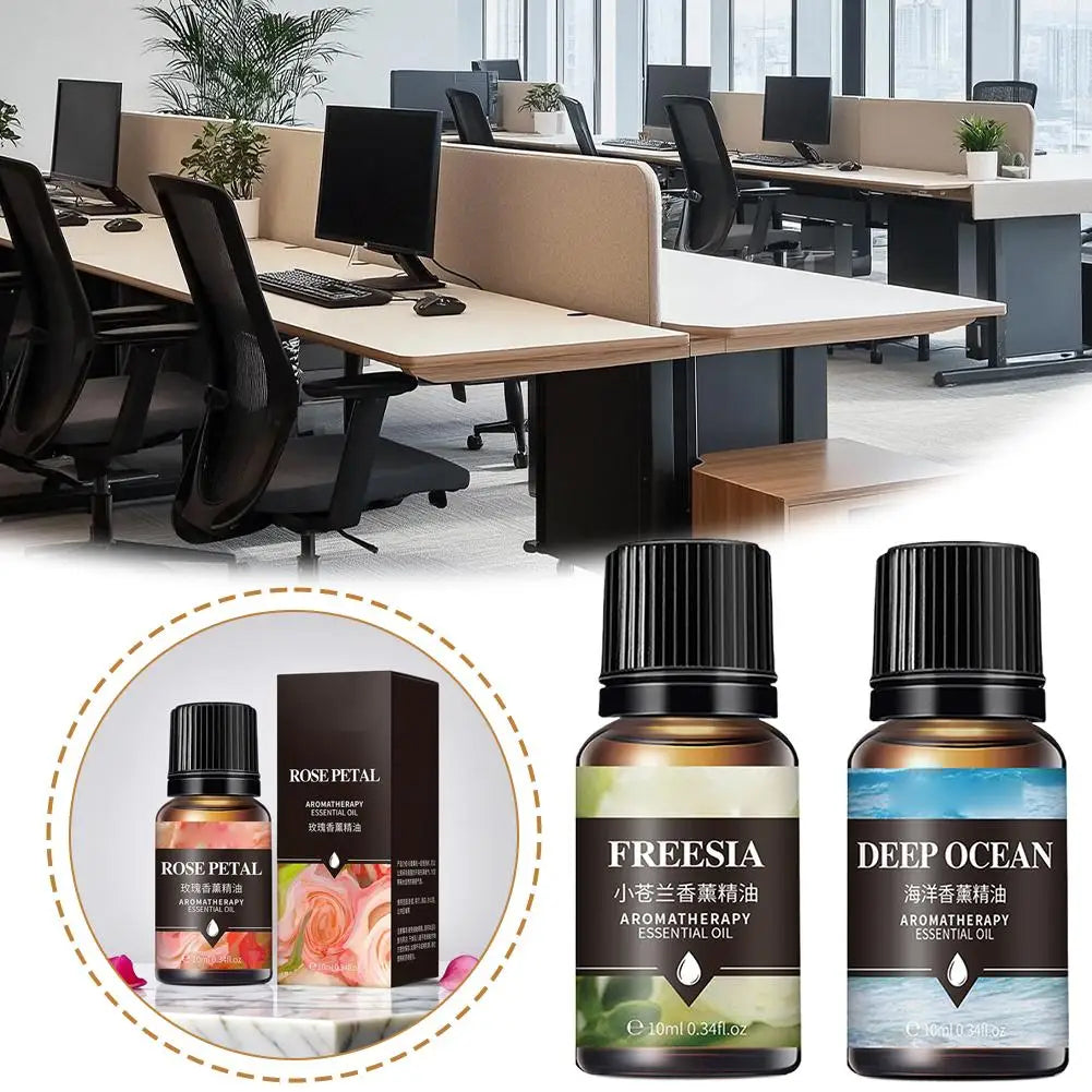 Water-Soluble Essential Oils for Aroma Diffuser & Humidifier 10ml Aromatherapy Essential Oil Qme