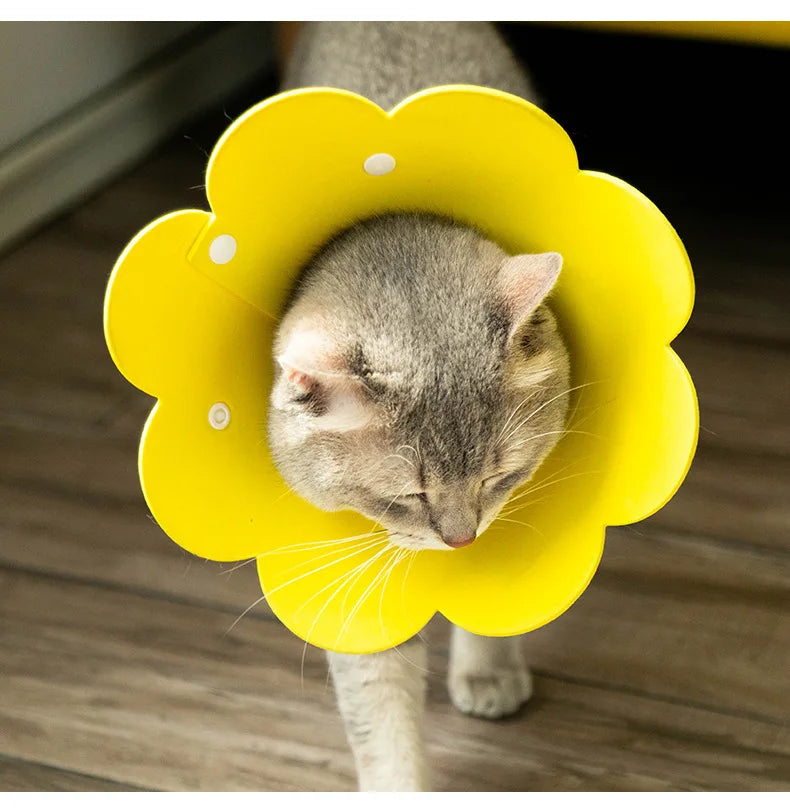 Soft Flower Pet Recovery Collar – Adjustable E-Collar for Cats & Dogs Pet Recovery Collar Qme