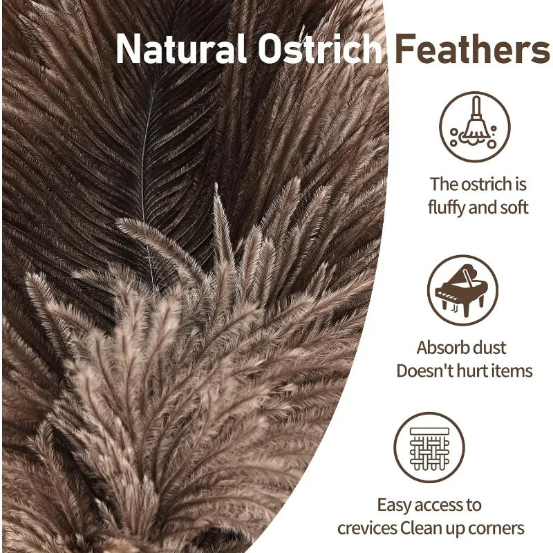 Natural Ostrich Feather Duster with Handle – Fluffy & Reusable Feather Duster Qme