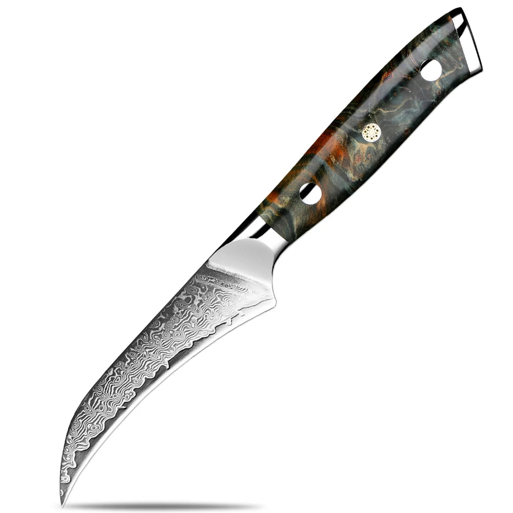 XITUO Damascus Kitchen Knife Set 1-6PCS – Santoku & Boning Kitchen Knife Set Qst paring knife