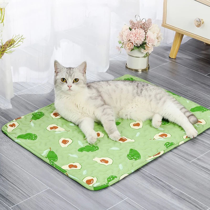 Washable Reusable Dog Pee Pad – Waterproof Pet Training Mat Dog Training Mat Qst