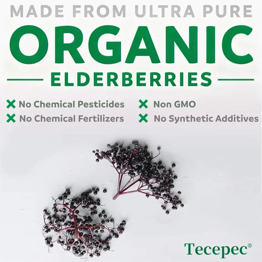 Black Elderberry 5000mg 10:1 Extract – 120 Vegan Capsules Non-GMO Herbal Supplement Qst