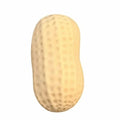 Squishy Peanut Squeeze Ball – Slow Rebound Fidget Toy Fidget Squeeze Toy Qst Peanut 1pc