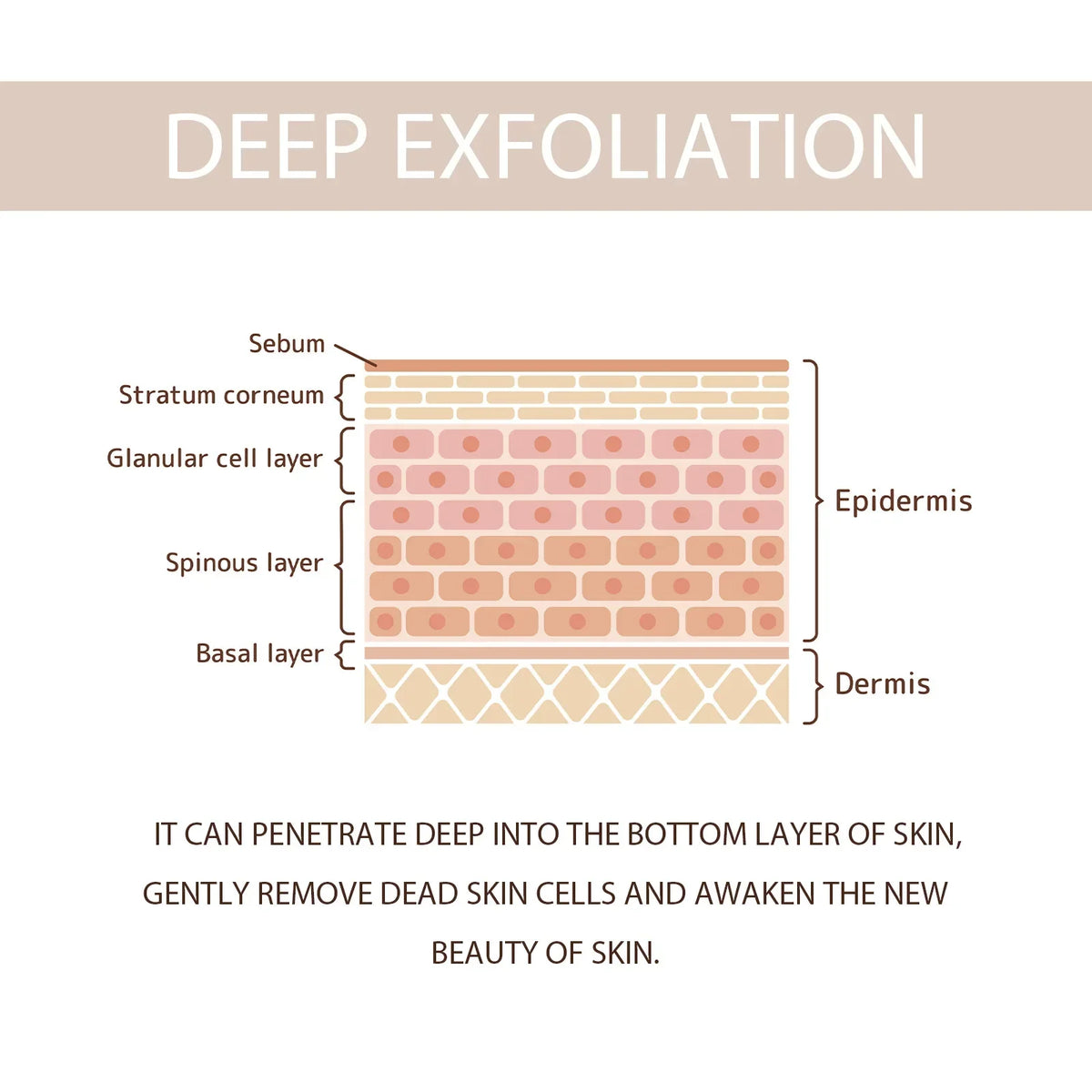Gentle Exfoliating Face Gel – Pore Cleansing & Skin Smoothing Exfoliating Face Scrub Qme