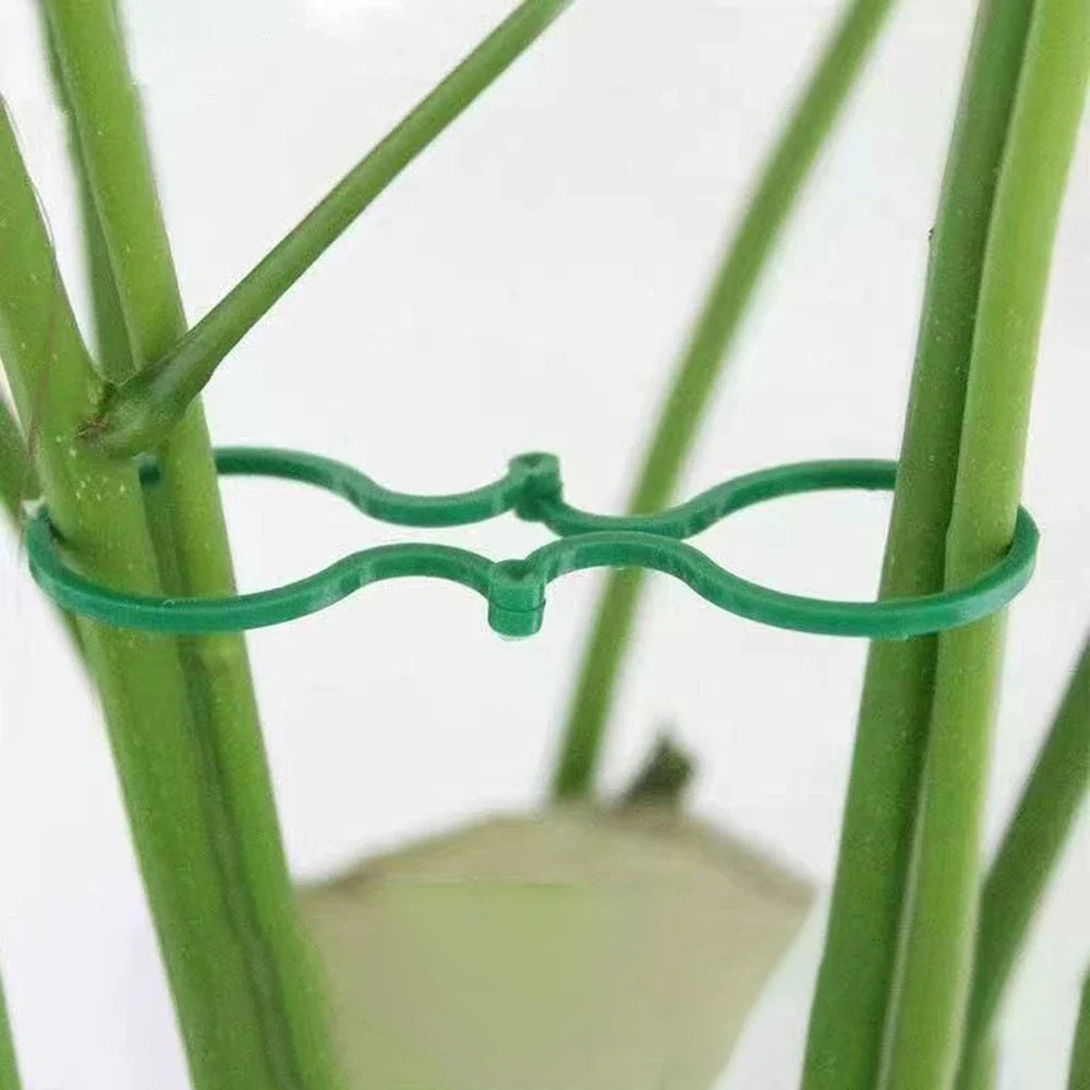 Plant Support Clips for Climbing Plants – 50 or 100 Pack Garden Plant Clips Qme