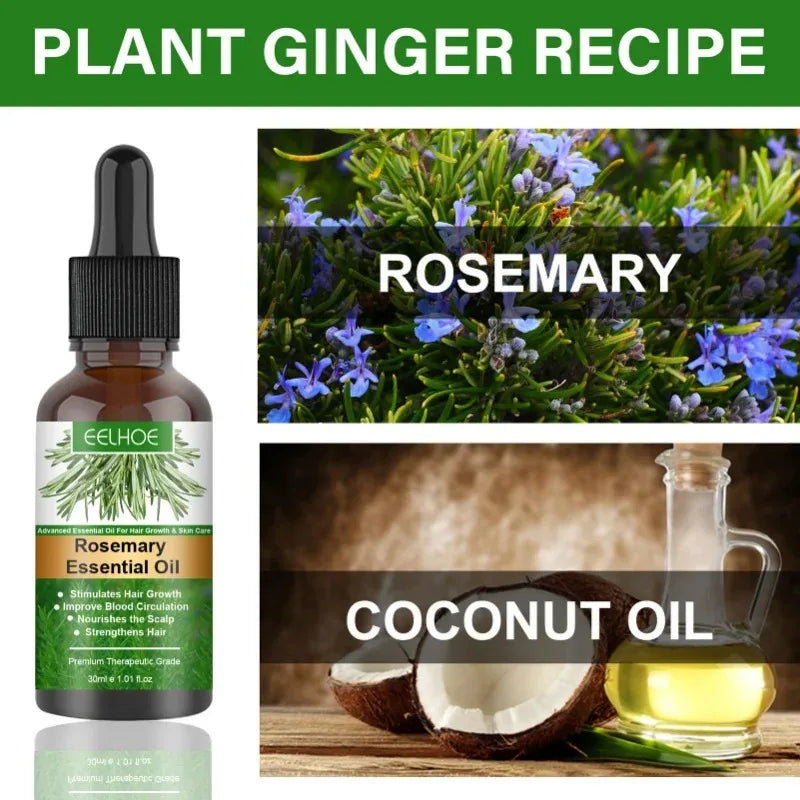 Rosemary Hair Essential Oil – Nourish & Moisturize Scalp | Eelhoe Hair Essential Oil Qst