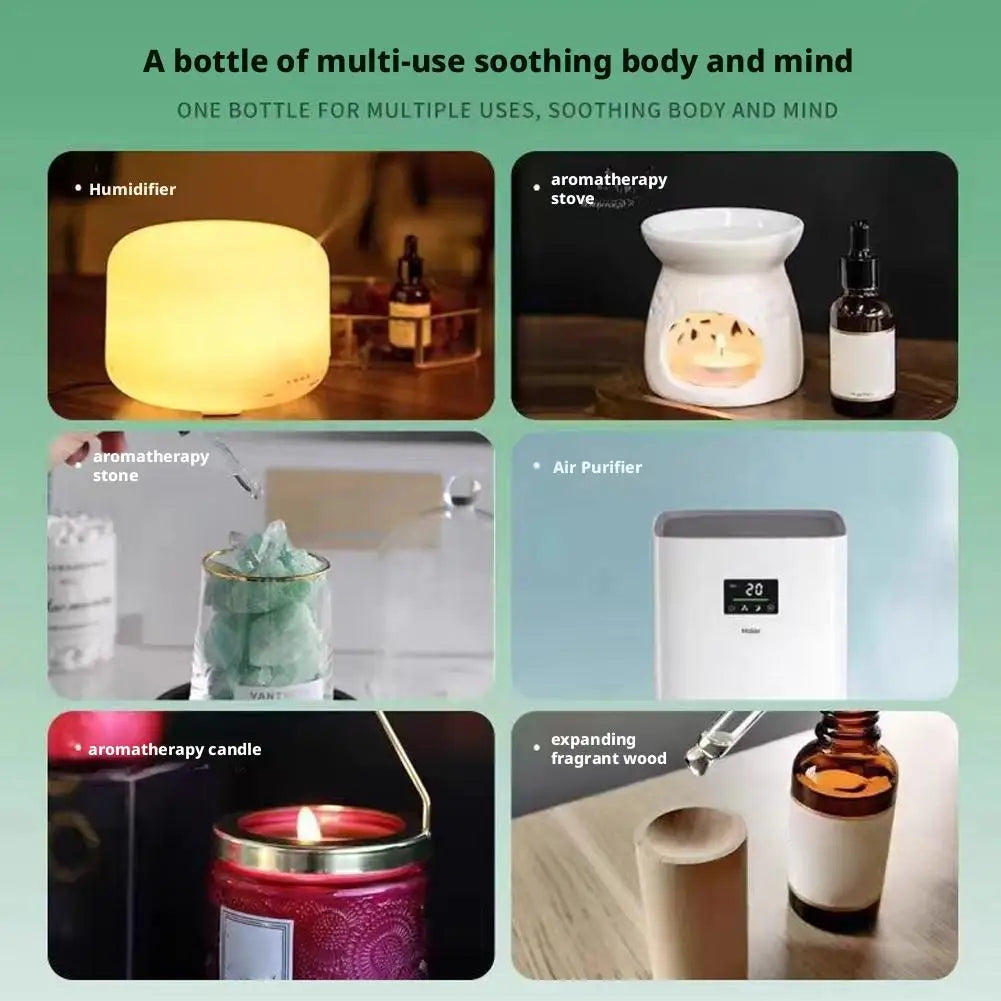Water-Soluble Essential Oils for Aroma Diffuser & Humidifier 10ml Aromatherapy Essential Oil Qme