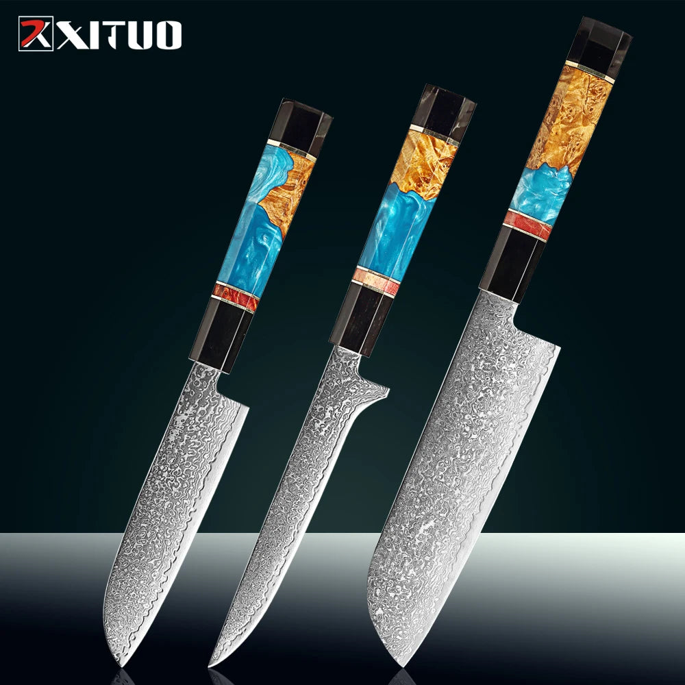 Damascus Steel Kitchen Knife Set – Santoku & Paring Knives Kitchen Knife Set Qst