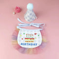 2-Piece Pet Birthday Hat & Scarf Set – Cute Embroidered Cat Pet Party Accessories Qme Blue